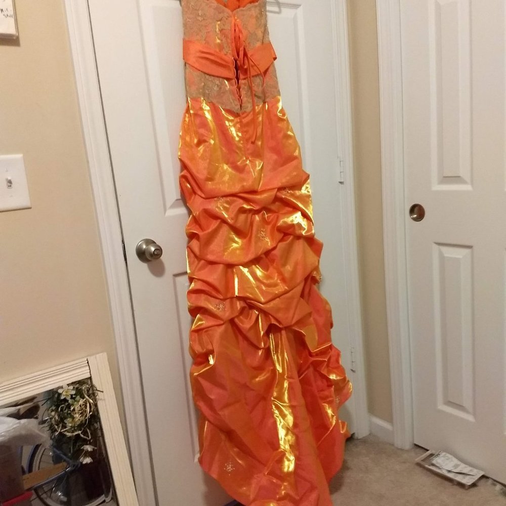 Prom/Formal Gown - Picture 7 of 8